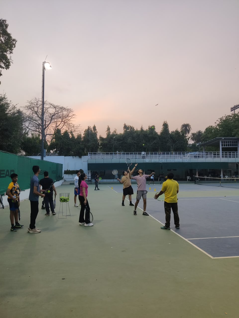 Pro Synthetic Court Standards & High-Lumen Lighting