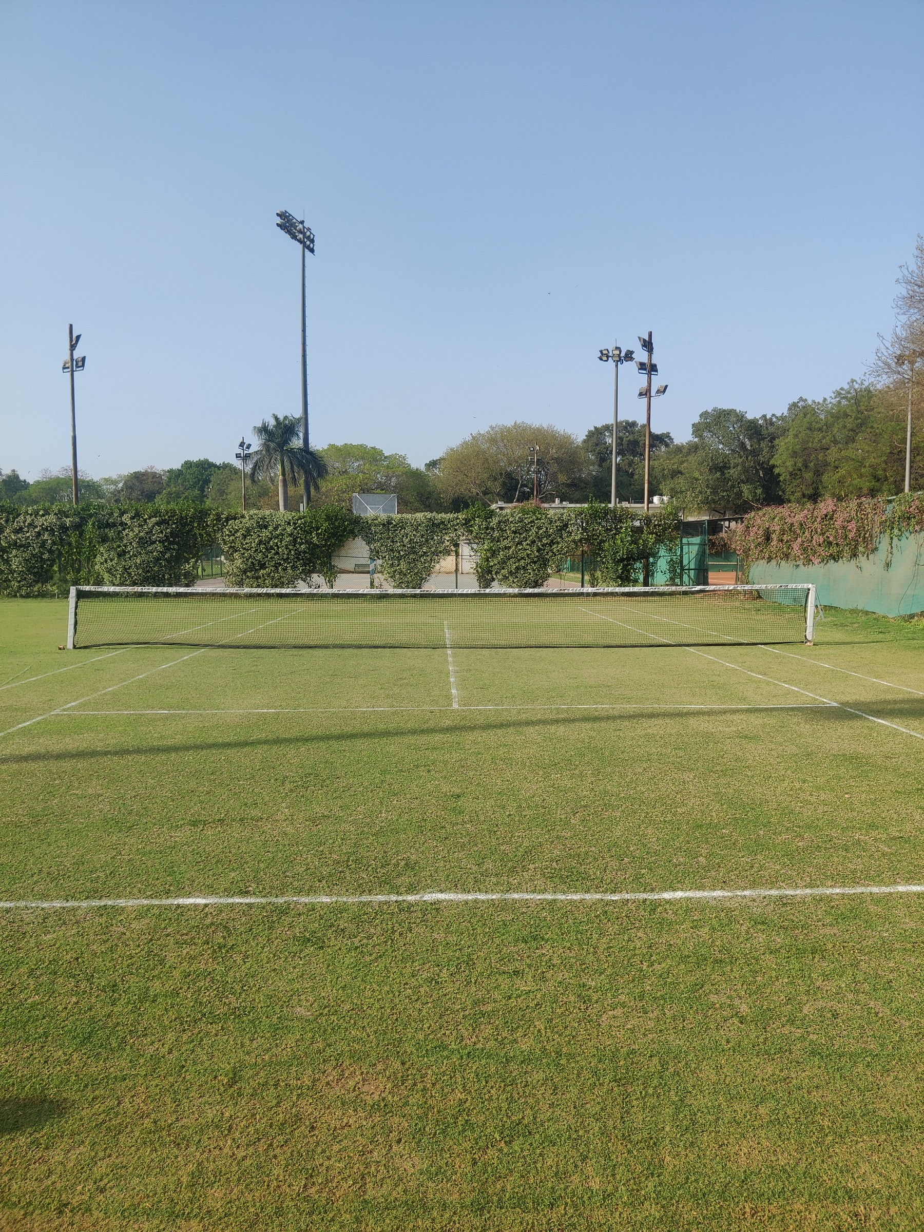Championship Natural Grass Courts